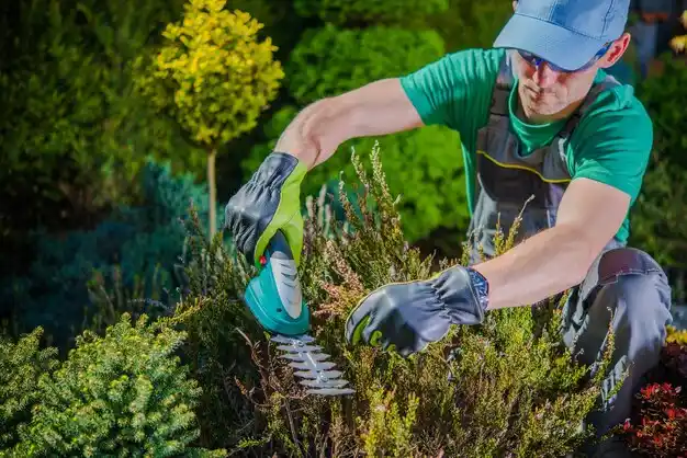 landscaping services Roslyn Heights
